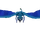Dracoid