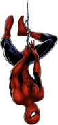 BBDB Spider-Man