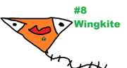 8. Wingkite