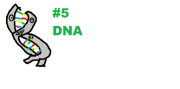 5. DNA