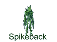 Spikeback (89 KB) Spikeback's previous appearance.