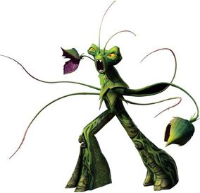 Snakeweed bio.jpg