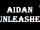 Aidan Unleashed