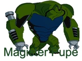 Magister Pupe