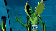 FlyTrap.jpg