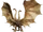 Hydra