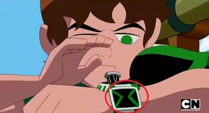 Obwódka płaty czołowej jest koloru białego