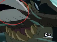 Ogon Zębala jest biały