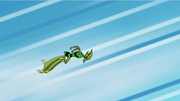 Lets go Crashhopper
