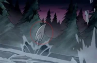 Ogon Muchy jest biały