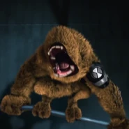 Dzikopysk w filmie Wyścig z czasem