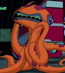 Nieznany gatunek 005