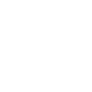 Cursethiselevator