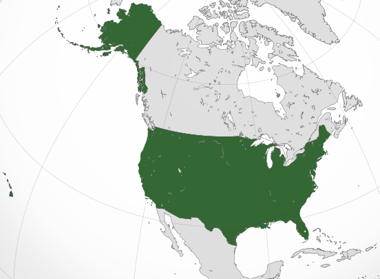 United States Of America Bendy Wiki Fandom United States Of America Bendy Wiki Fandom