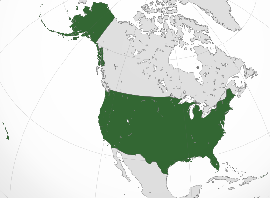 United States Of America Bendy Wiki Fandom