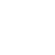 Joeyliedtous
