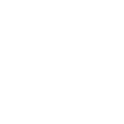 Joeyliedtous