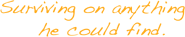 «Выживающий благодаря всему, что сможет найти.»
