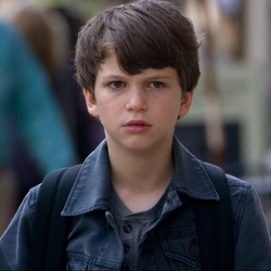 Benji frankie sale