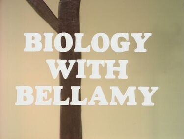 Bellamy00