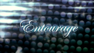 Entourage Mini-Album Sampler