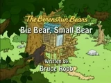 The Berenstain Bears' Big Bear, Small Bear (episode)