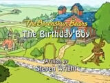 The Berenstain Bears: The Birthday Boy