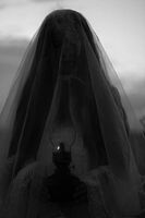 Veiled1.jpg