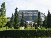 Gewaechshaus botanischergarten berlin