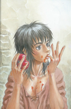 Gallery:Casca, Berserk Wiki, Fandom