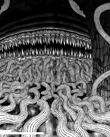 Sea God Berserk Wiki Fandom The lucky ones, born with special skills, fight violent monsters, while the poor people are condemned in the society. sea god berserk wiki fandom