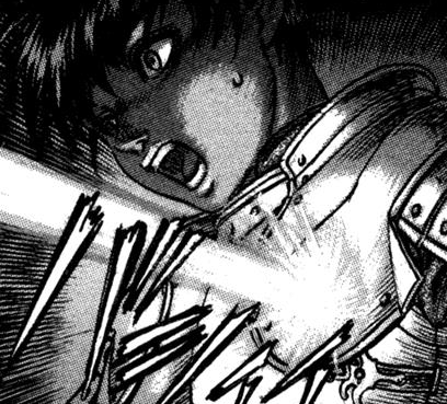 Casca, Berserk Wiki, Fandom