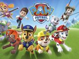 PAW Patrol (seasons 2-present)