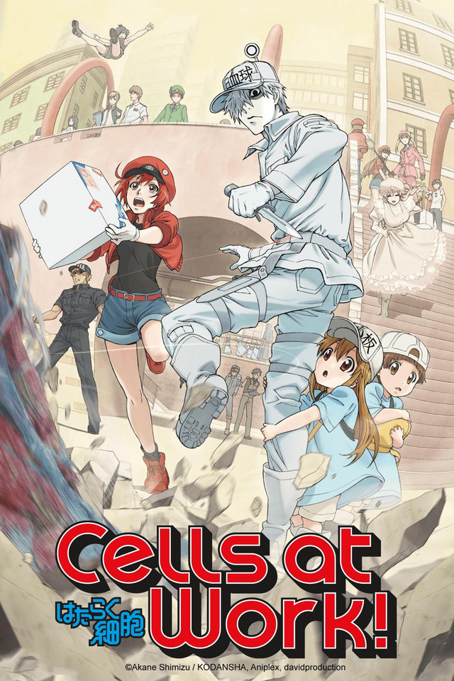 CELLS AT WORK! Illustrations by Akane Shimizu - Edição Japonesa