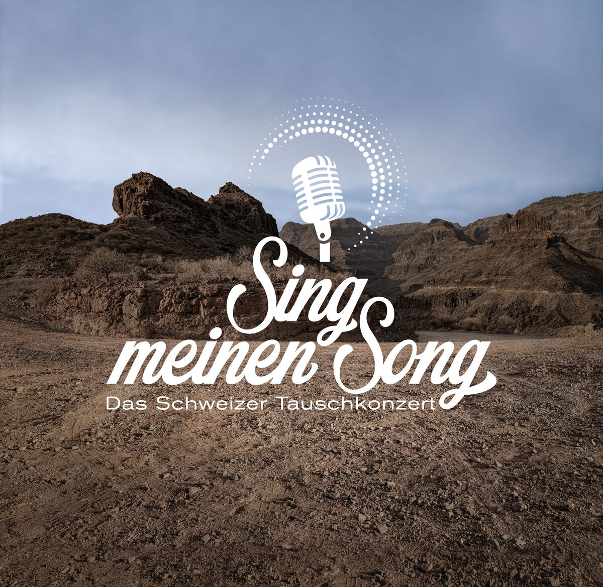 Sing Meinen Song Das Schweizer Tauschkonzert Beste Zangers Wiki Fandom