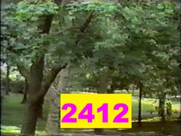 SS Episode 2412 | BestOfSesame Wikia | Fandom