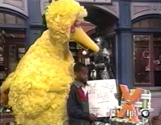 SS Episode 3659 | BestOfSesame Wikia | Fandom