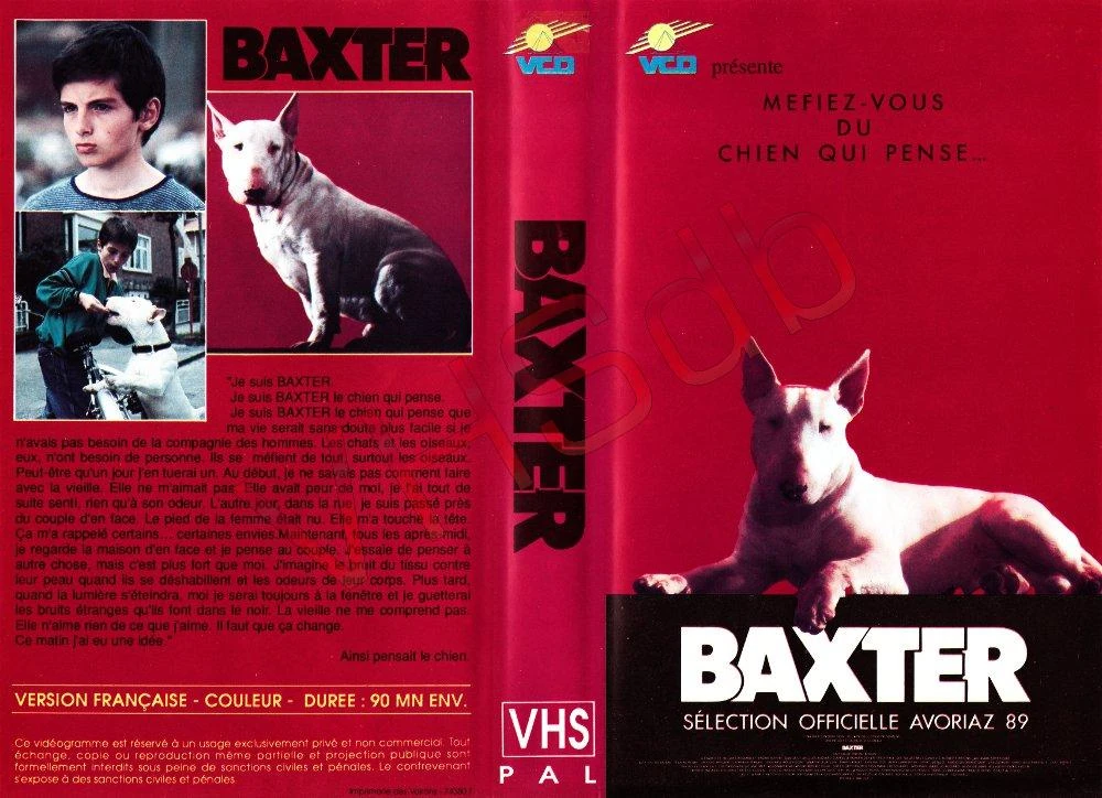 VCD (Belgique) Baxter (1990) (Location) Wiki VHS Fandom