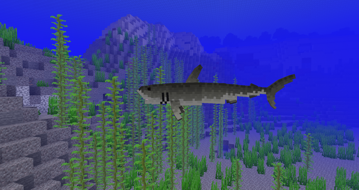 Shark Better Animals Plus Wiki Fandom