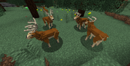 Old deer model (pre-9.0.0)