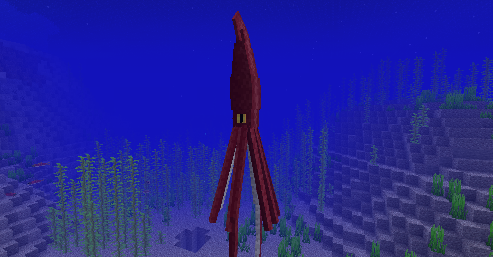 Giant squid