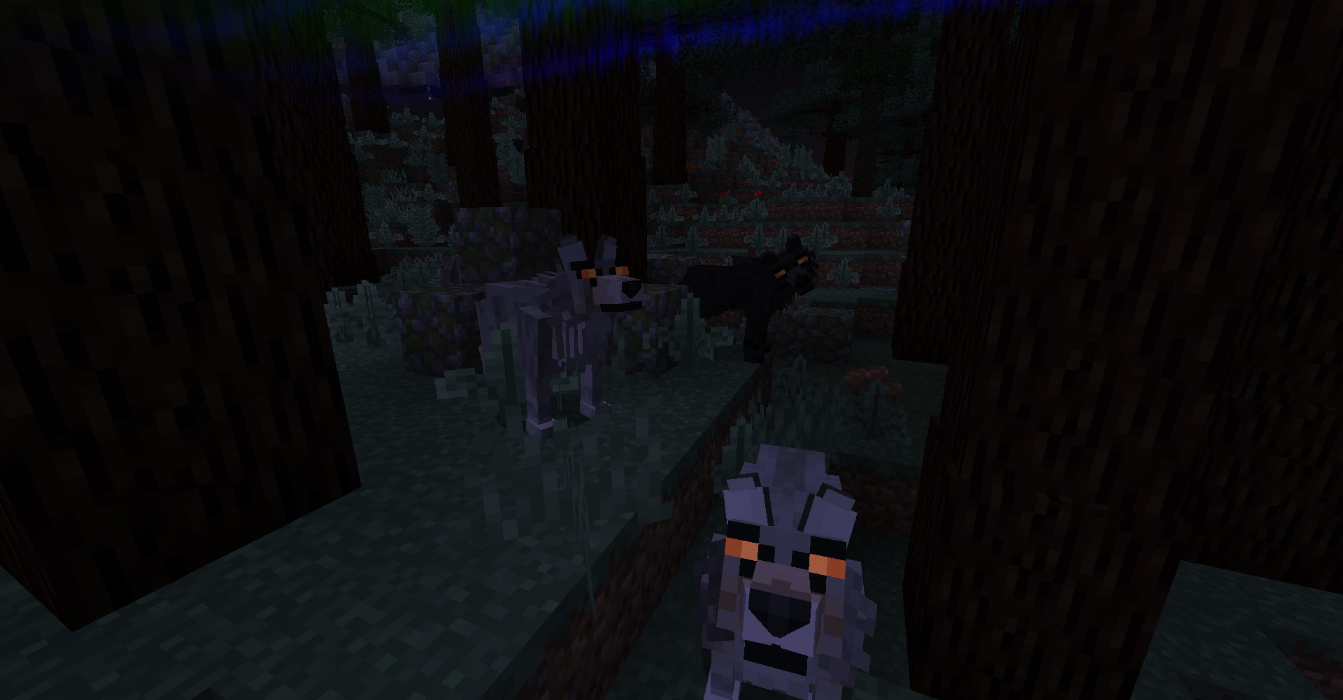 Better than wolves mod. Better animals Plus 1.12.2. Betteranimalsplus. Better than Wolves Minecraft. Entity #3 victim.