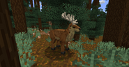 Old deer model (pre-11.0.0)