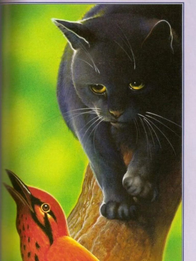 Где Можно Купить Книги Коты Воители