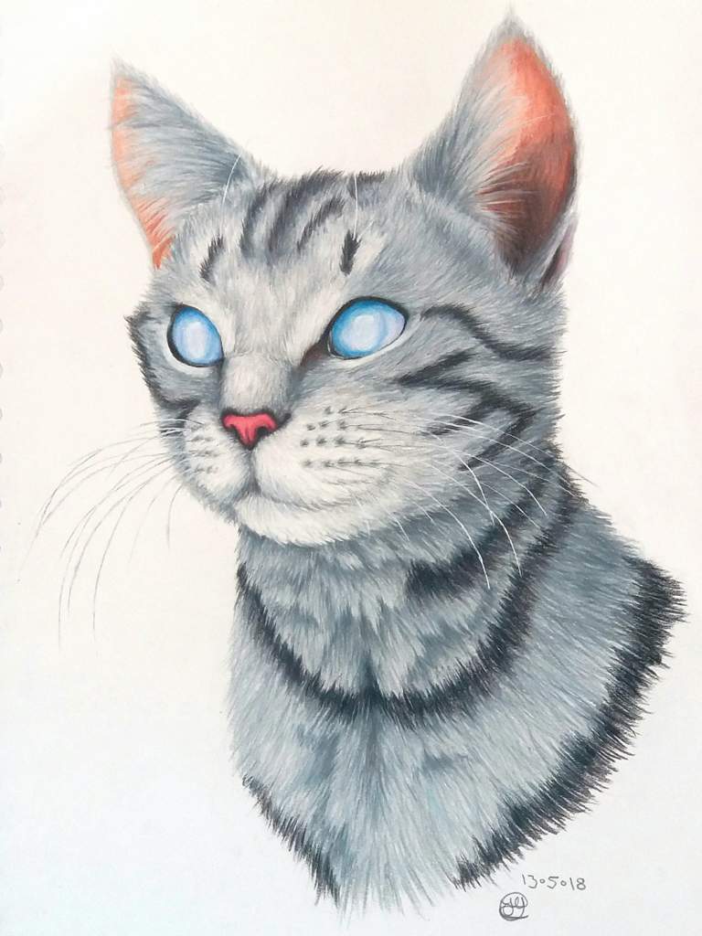 Jayfeather Bio (warrior cats)