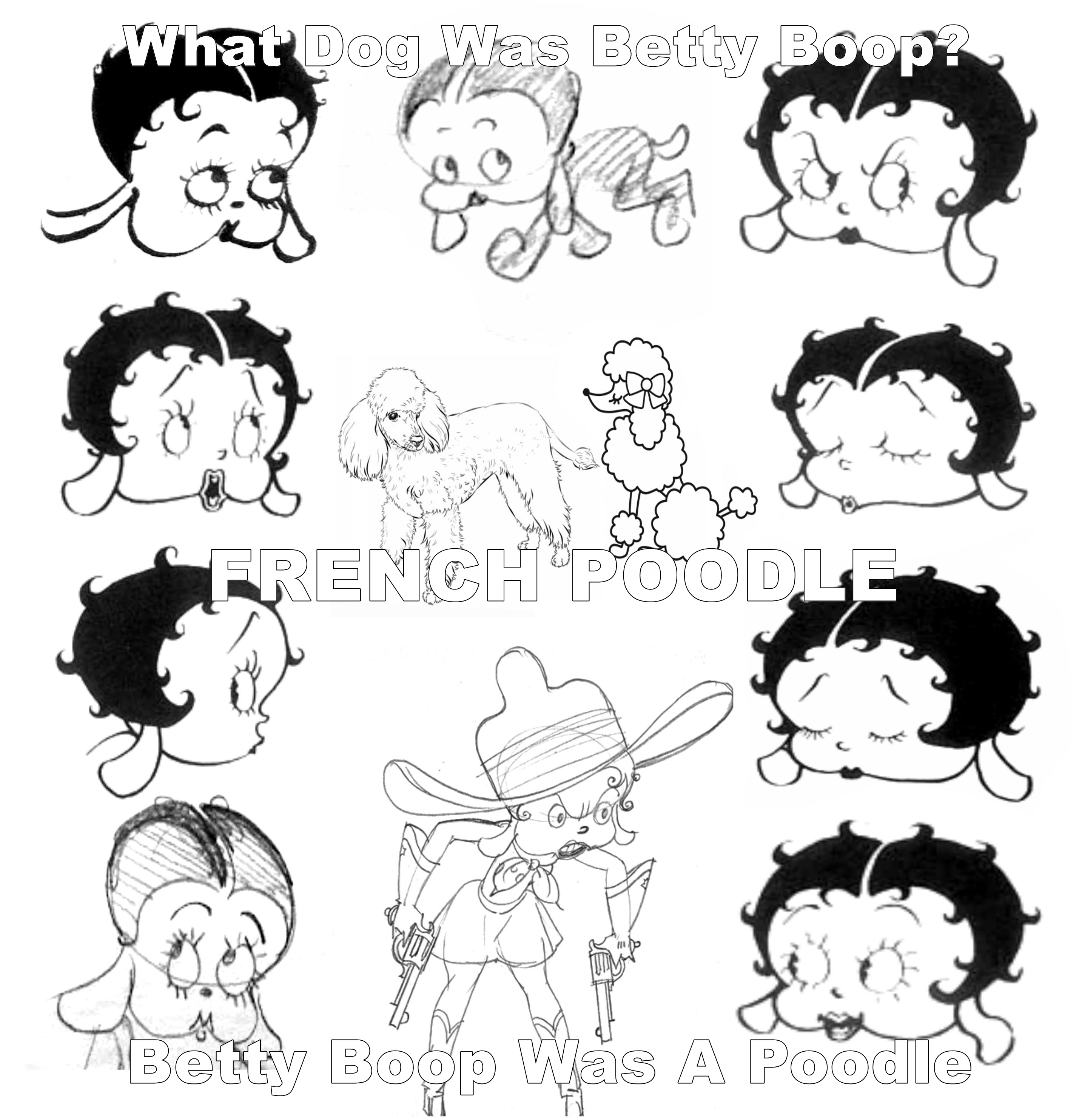 Betty boop dog discount