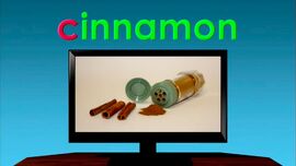 Television Word Morph cinnamon, circle, circus.jpg