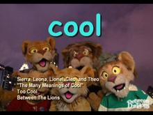 IMG 2357.png