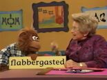 The Word Doctor with Dr. Ruth Wordheimer: flabbergasted