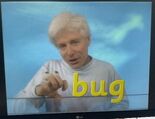 Fred Says Bug